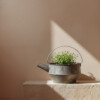 Zinc watering can with handle