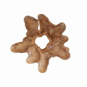 BSTW00065A_4 Peony wanddecoratie XL