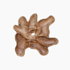 Peony wanddecoratie L