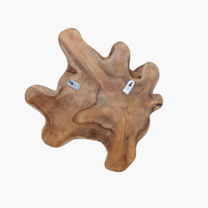 Peony wanddecoratie L