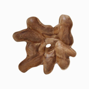 Peony wanddecoratie L