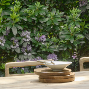 Ronde teakhouten schaal S, 28 cm